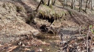 Водопад Пасть дьявола