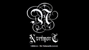 Nörtmört-Salmanella