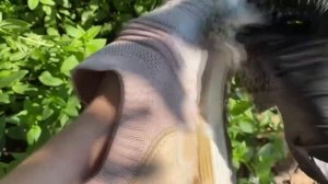 💚 РЕМОНТ самая не маркая КУХНЯ на свете 😍 А ТАНЯ ЛЕТО - СВИНЬЯ 😂супер идеи ЗА КОПЕЙКИ сделала ЧУДО!