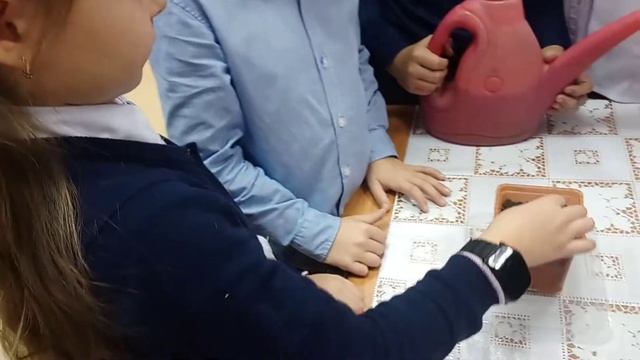 Нягань ДУБ Гимназия 3А Егорова смотреть онлайн