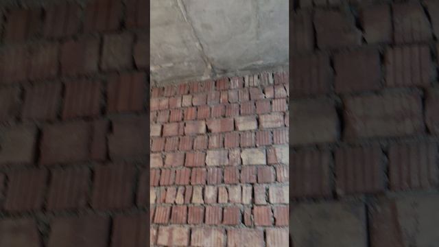 d смотреть онлайн