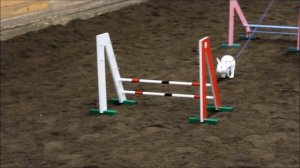 Opal - Rak Mini 18/11-12