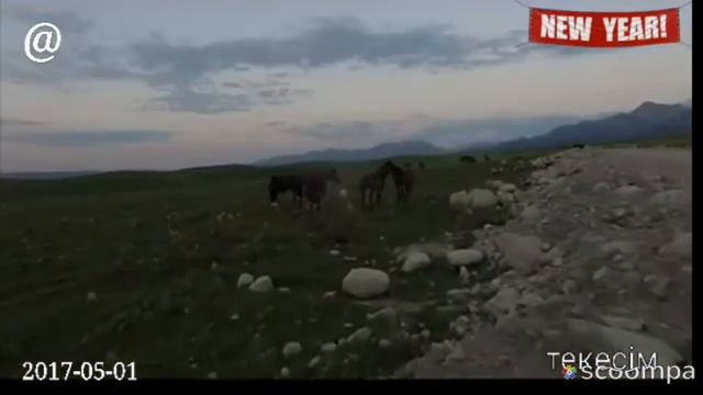 туған жер ,текесім смотреть онлайн