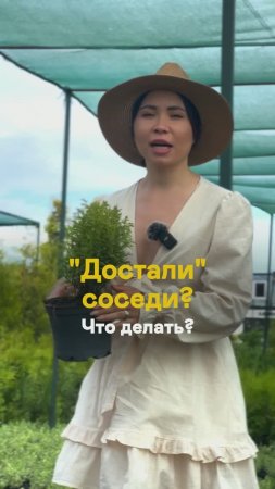 Вас тоже бесит дерево соседа? Сделайте так!
