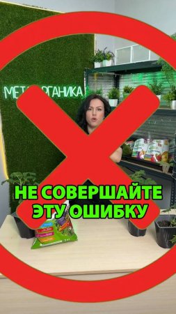 Не совершайте эту ошибку на огороде в апреле 2025 года