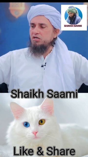 Ky Billi ko Marne ki Mumanaat aayi hai mufti tariq masood Shaikh Saami смотреть онлайн