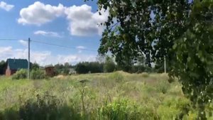 Владимирская область Киржачский район село Заречье улица Рябиновая дом 7