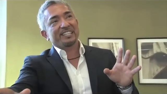 Cesar Millan Interview - His 4 Principles смотреть онлайн