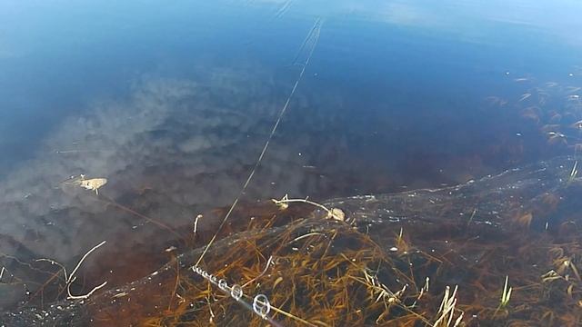 Весенний трофей смотреть онлайн