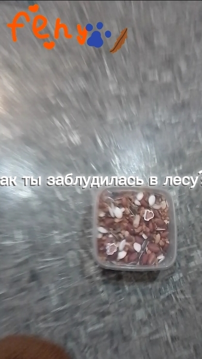 бегаю за вкусняшками смотреть онлайн