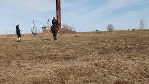 вот на чëм кататься надо а не на мотоциклах и мопедах и машинах