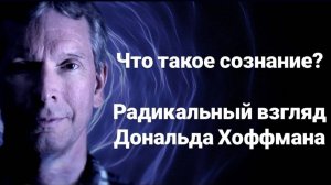 Что такое сознание? Радикальный взгляд Дональда Хоффмана.  Дональд Хоффман и Лекс Фридман.