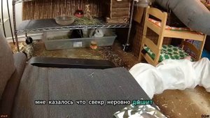 СВЁКР НАУЧИЛ НЕВЕСТКУ РАБОТАТЬ РУЧКАМИ. Интересные истории из жизни. Рассказы о любви. Тёща сладкая