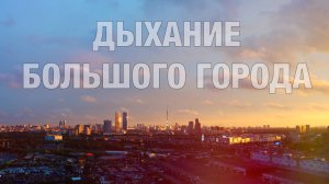Дыхание большого города (таймлапс видео)