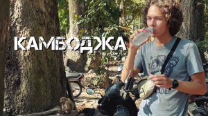 КАМБОДЖА. АНГКОР. ОБЕЗЬЯНА ЧУТЬ НЕ УКРАЛА ТЕЛЕФОН. PUB STREET СИЕМРЕАП
