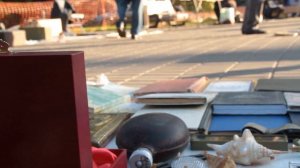 Розалия Закиева - Тинчурин паркы (шагыйрь Рифат Сәлах)