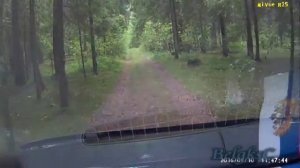 Паша купил новый автомобиль HYUNDAI SOLARIS.