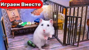Лабиринт для Хомяка ! Выбираемся из ЗАБРОШЕННОЙ ТЮРЬМЫ С ЛОВУШКАМИ ! Видео для детей