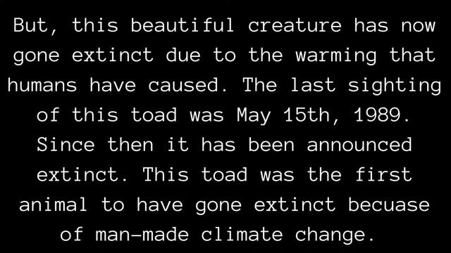 The Golden Toad смотреть онлайн