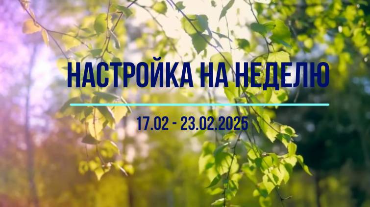 Настройка на неделю 17.02 - 23.02.2025 #психология #осознанность