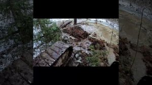 Чистим лесной пруд