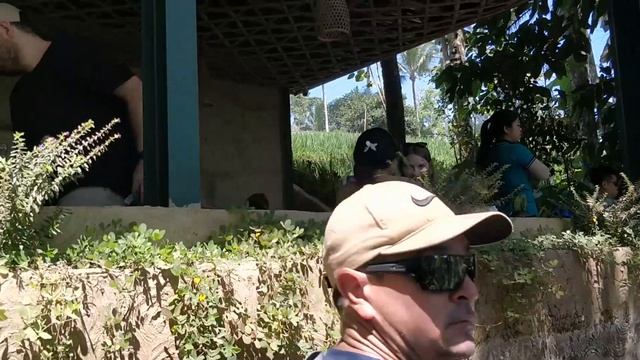 Luwak Coffee Plantation UBUD - BALI# Vlog2 # 2019