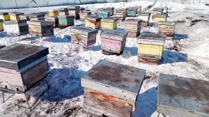 Сибирь! Первый облёт.Потери...