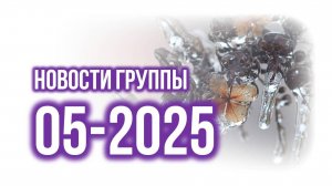 Собрание Структуры 05-2025