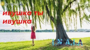 ивушка ты ивушка