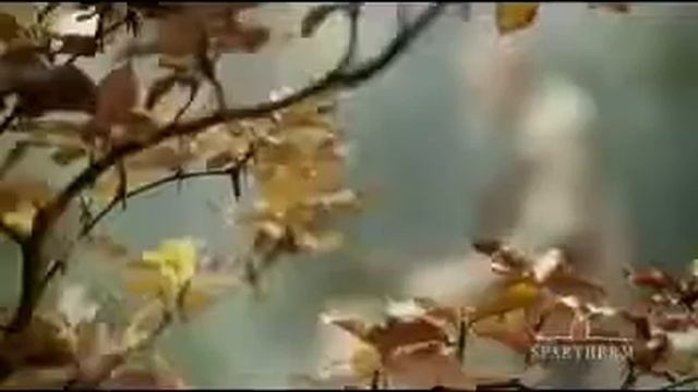 Spartherm TV Spot 2013 смотреть онлайн