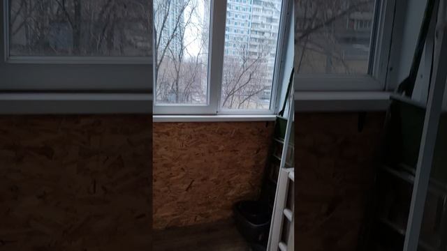 2_5375148869409599436