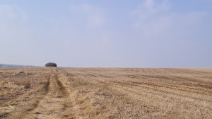 Ищу монеты с EQUINOX 700 на битом поле