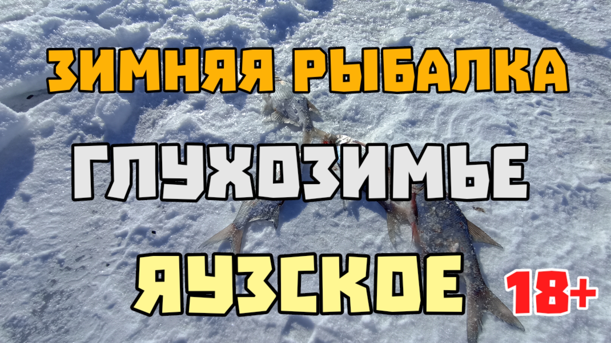 Зимняя рыбалка. Яузское водохранилище. Гигантский Подлещик :)  28 февраля 2025 г.