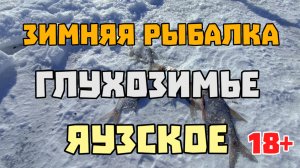 Зимняя рыбалка. Яузское водохранилище. Гигантский Подлещик :) 28 февраля 2025 г.