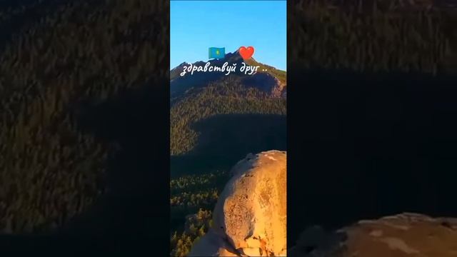 1000087210.mp4 смотреть онлайн