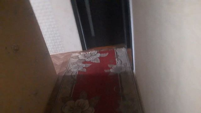 Козы гуляют,жеребёнок на пастбище и сюрприз ☺️ смотреть онлайн