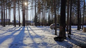 Строим дом. 6 часов чищу снег.