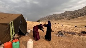 Nomadic Life: Mother and Daughter-in-Law Conflict - Navigating Family Dynamics 🌾👩👩👦👦