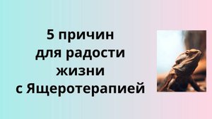 5 причин радоваться жизни