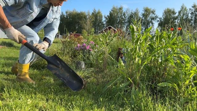 Ягоды и цветы смотреть онлайн