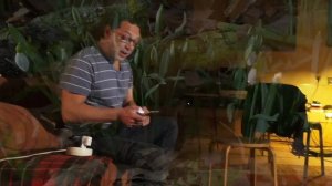 Рождение песни - Любимая кошка в Непале спит - Глобальная Волна - The Global Wave