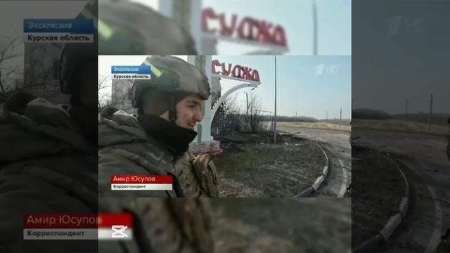 Суджа наша - чебурашим