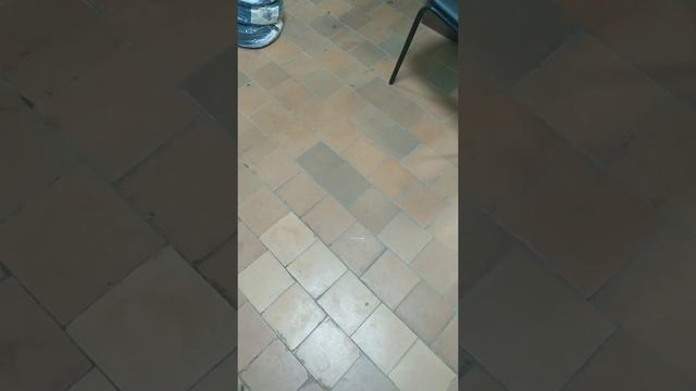 Плавание в бассейне г.Суворова жителям города запрещено. 18.11.20 смотреть онлайн