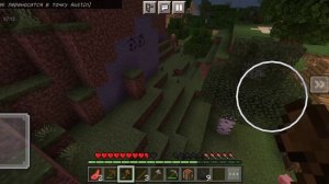 играю с другом в майнкрафт пе