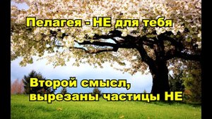 Пелагея Не для тебя, Вырезаны частицы НЕ