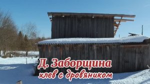 Деревня Заборщина, хлев с дровяником.mp4