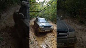 Грейт вол дир бездорожье