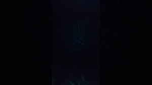 Сварочная маска хамелеон из китая Tywel WH~9810. True Color. 5 датчиков.Завод Welhel.