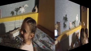 Мультфильм в технике теневого театра/ Тулузакова Ксения "Что я вижу?"