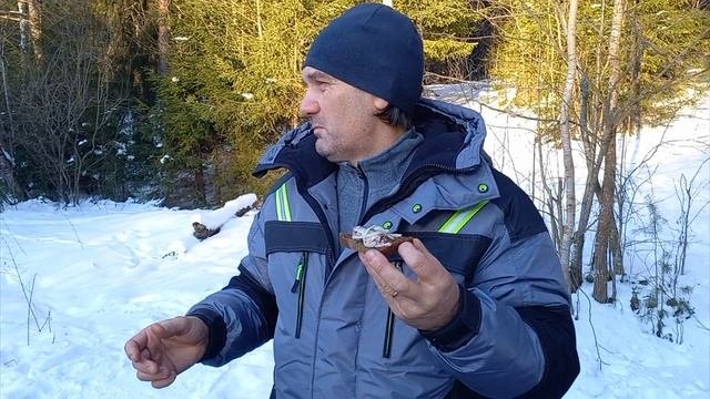 Разоблачение блогеров!